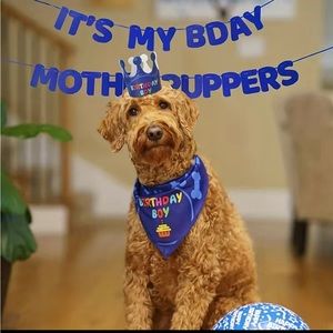 Bundle Dog Birthday Party Supplies, Dog Birthday Banner Bandana Hat Set